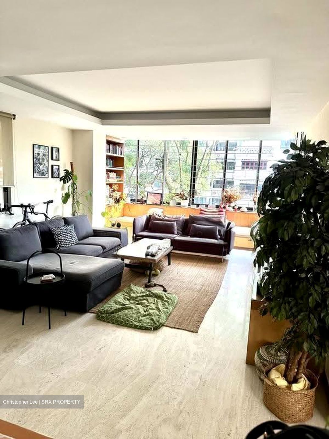 Botanic Gardens View (D10), Apartment #611203301